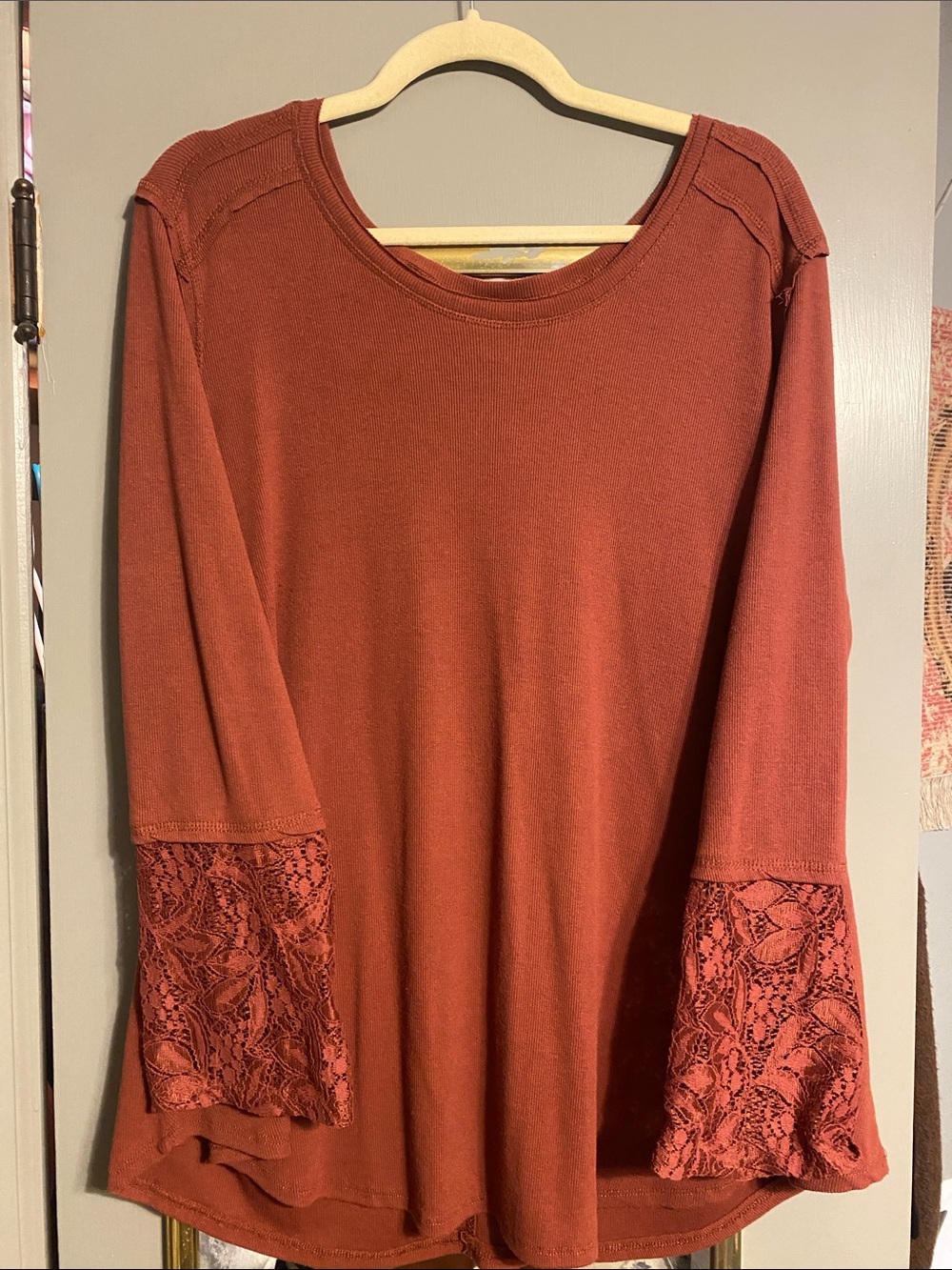 Knox Rose Lace-Sleeve Tunic Top - Rust